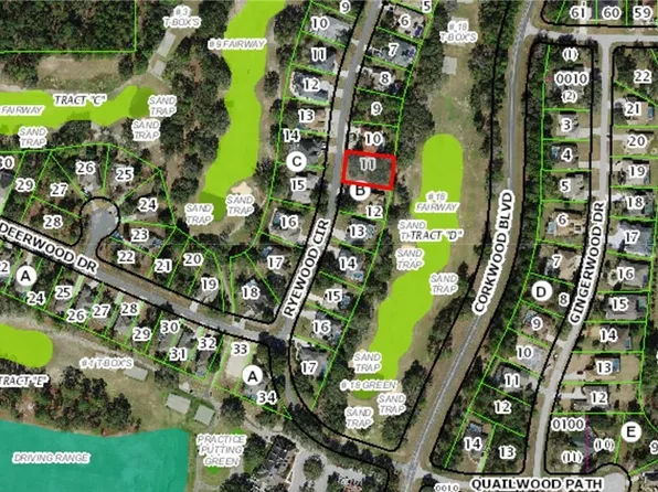 22 Ryewood Cir, Homosassa, FL 34446