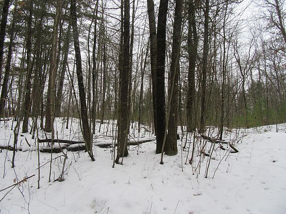 4th image of 40 Hill N Dale Dr