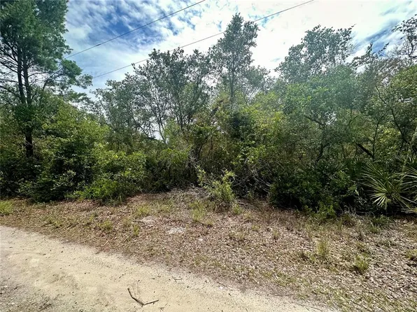 Little Palm Dr Lot 96, Deltona, FL 32738