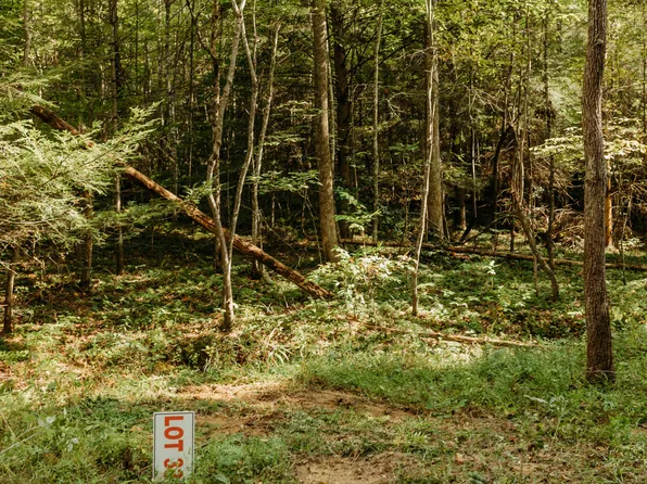 33 Hollertop Rd, Campton, KY 41301