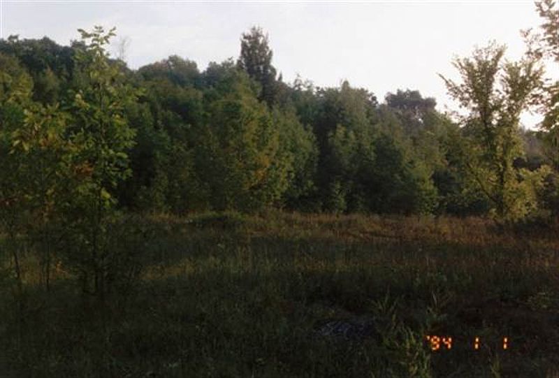 2nd image of 00 HICKORY TREE Road