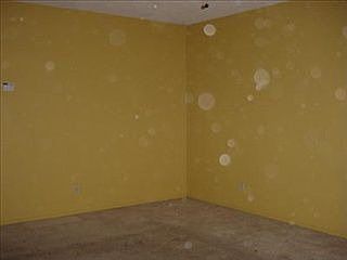 2nd image of 403 Ericwood Ct