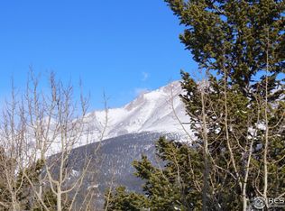 688 S Skinner Rd, Allenspark, CO 80510