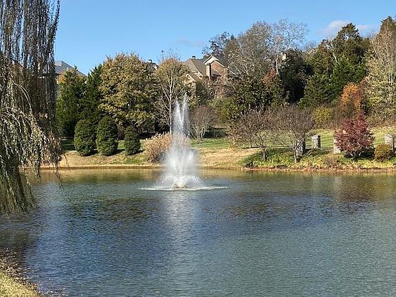 3rd image of 12460 Ivy Lake Dr Lot 3