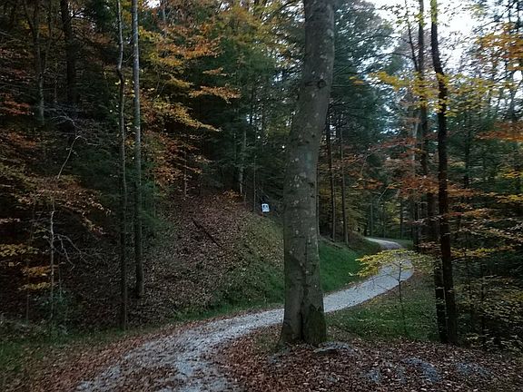 2nd image of 2112 Ky Route 172
