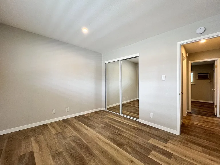 Pine, 1782* — Photo 15