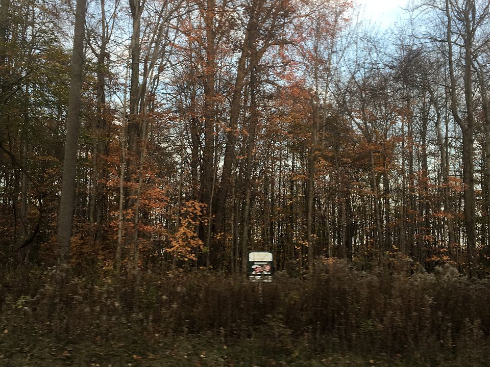 2nd image of 2465 Tamarind Trl #Land