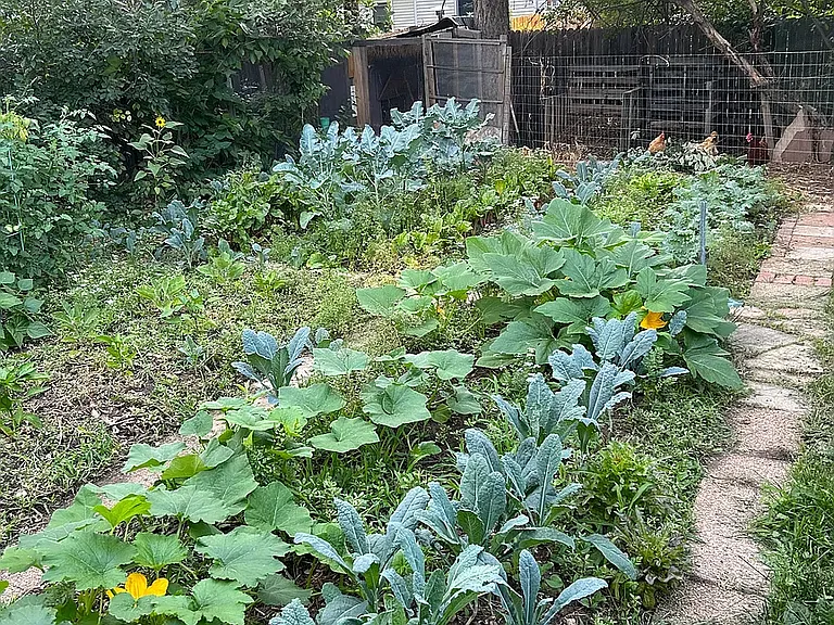 Gardens glore