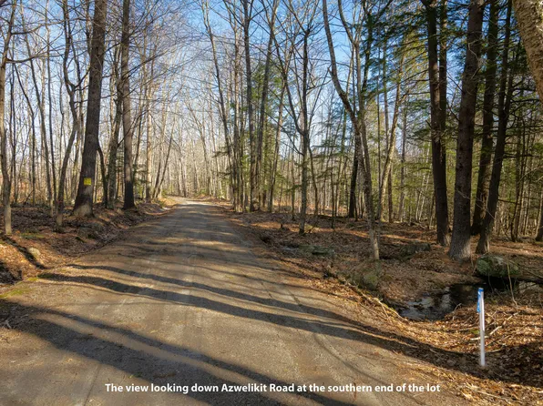 Lot 11-3 Azwelikit Road, Casco, ME 04015