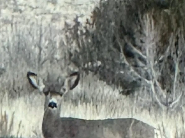 Blk H Valley Vision Unit 1, Beryl, UT 84714