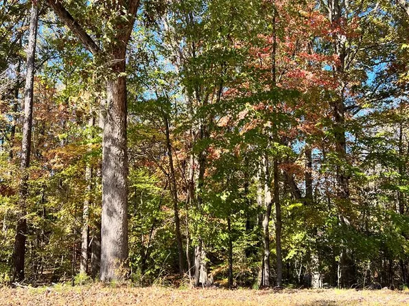 0 Brook Rd, Clinton, SC 29325