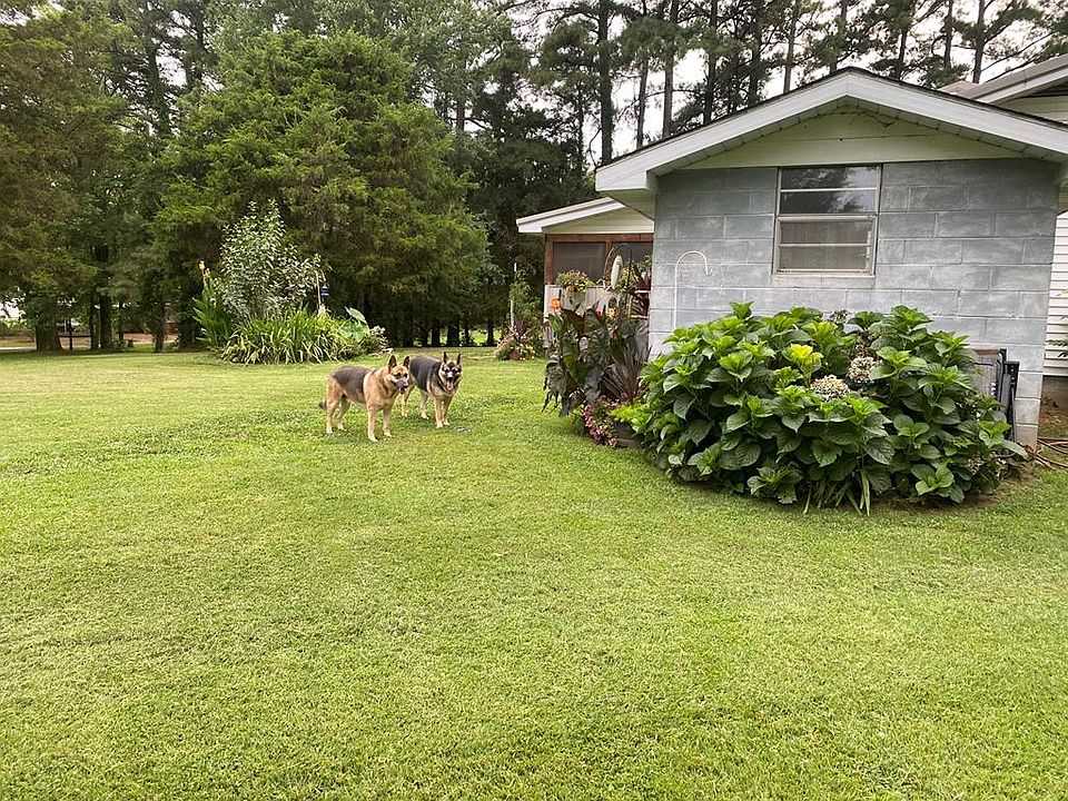 67th image of this home