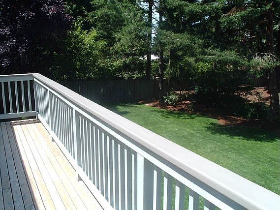 Back yard
