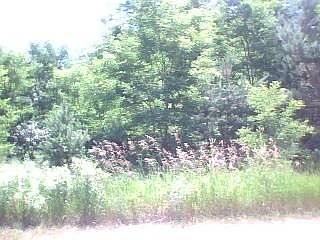 5th image of 6720 Scenic Woods NE #Pvt
