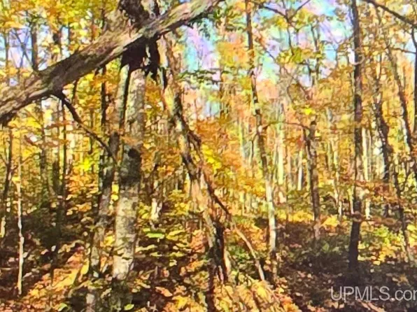 Orange Road Blue Rd, Nisula, MI 49952