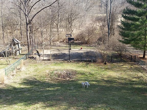 The back yard 