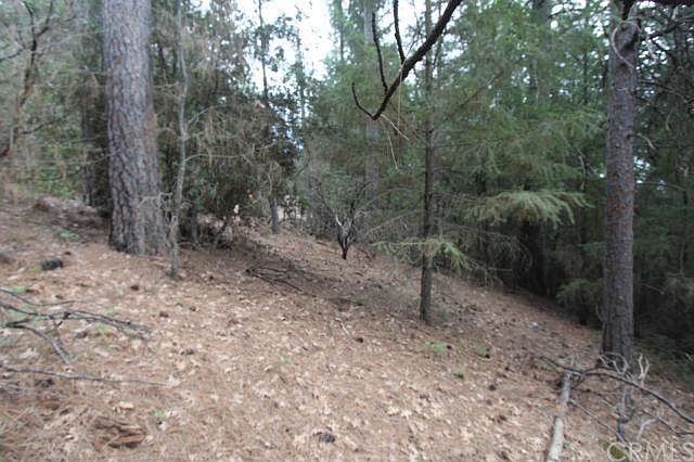 2nd image of 10795 Pine Point Rd
