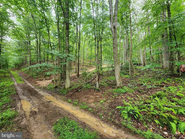 16 Wits End #A, Mathias, WV 26812