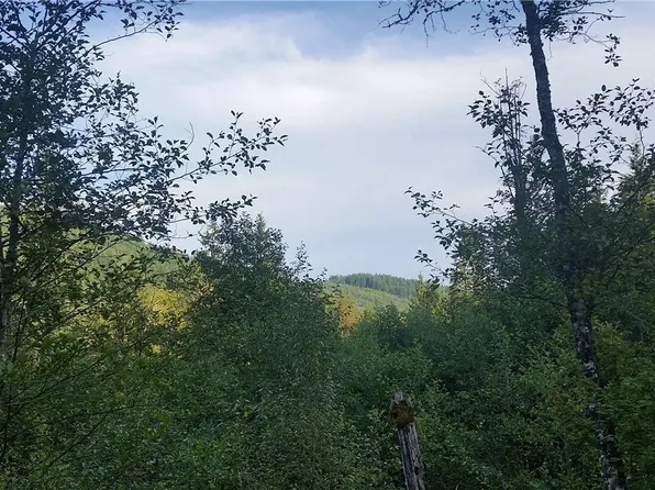 49906 Midway Creek Rd E, Eatonville, WA 98328