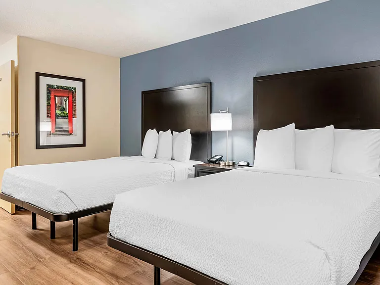 Studio Suite - 2 Full Beds