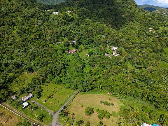 4th image of MATA DE PLATANO