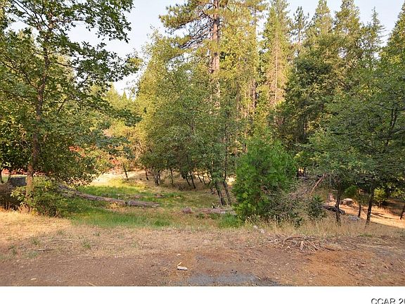 4th image of 2679 Murphys Dr