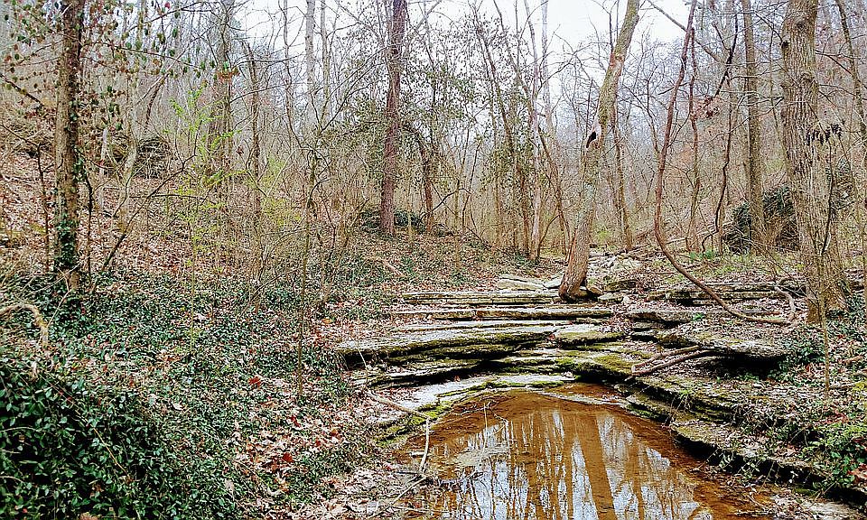 1st image of Grisham Ln