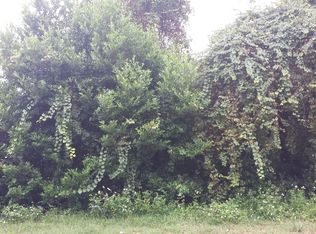 119 Pelican St, Augustine, FL 32086