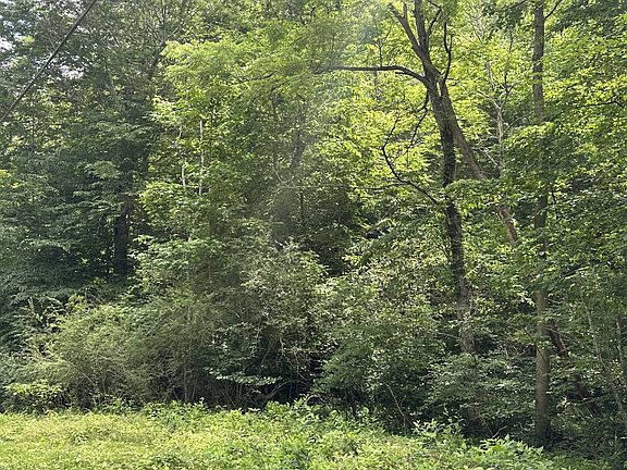 4th image of 2812 Union Hill Rd