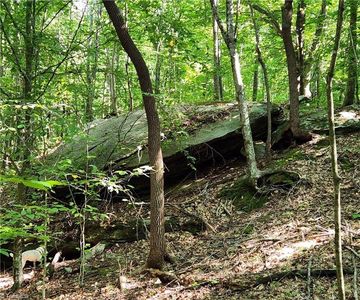 0 Grassy Knob Rd #25, Pilot Mountain, NC, 27041