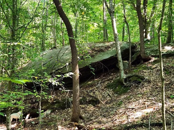 0 Grassy Knob Rd #25, Pilot Mountain, NC 27041