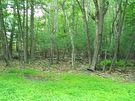 1st image of Cottonwood Ct