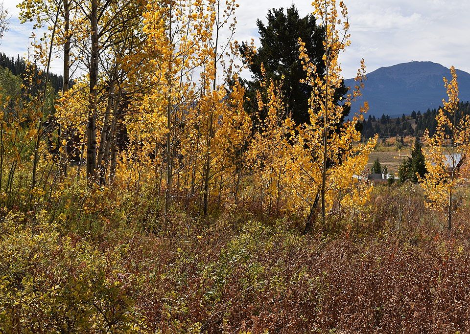 2nd image of 4220 Bighorn Ln