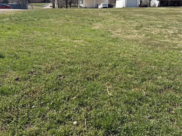 8 Pine St, Park Hills, MO 63601