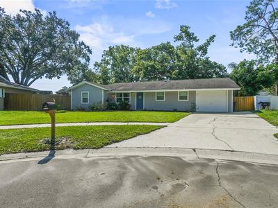 17703 Morninghigh Dr, Lutz, FL, 33549
