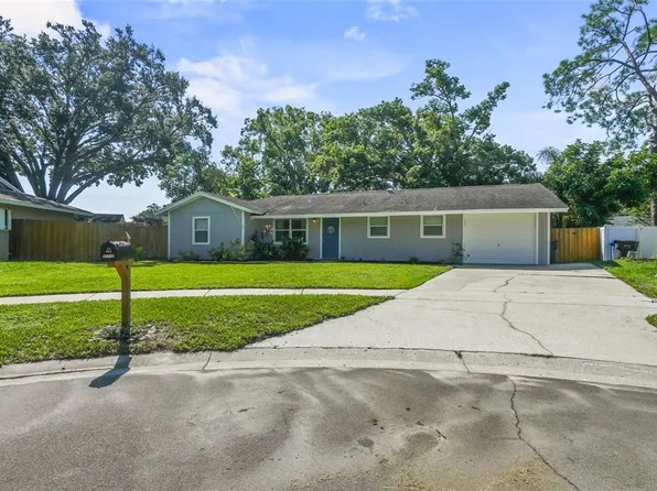 17703 Morninghigh Dr, Lutz, FL 33549