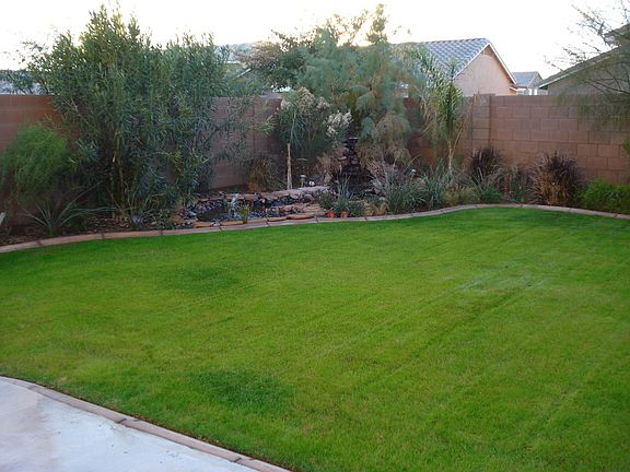 View from Patio