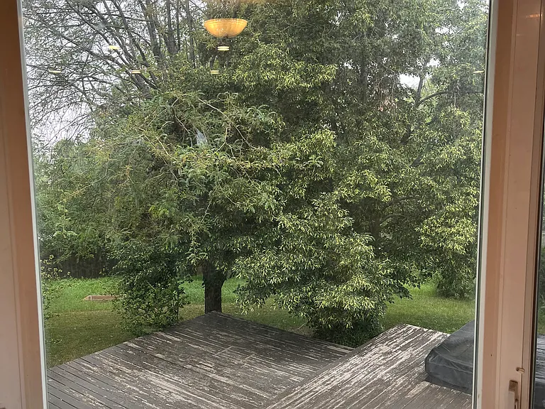 backyard view from bay window in dining room