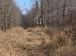 Skyview St, Brook Park, MN 55007