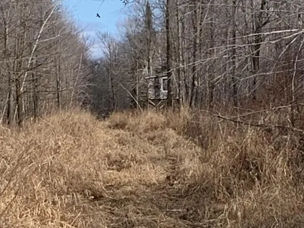 Skyview St, Brook Park, MN 55007