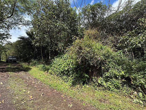 3rd image of 12-566 Hawaii St Lot 98