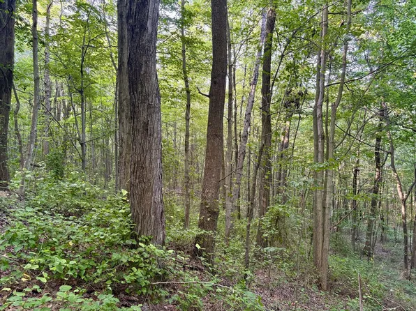 Topper Ln, Dunbar, PA 15431