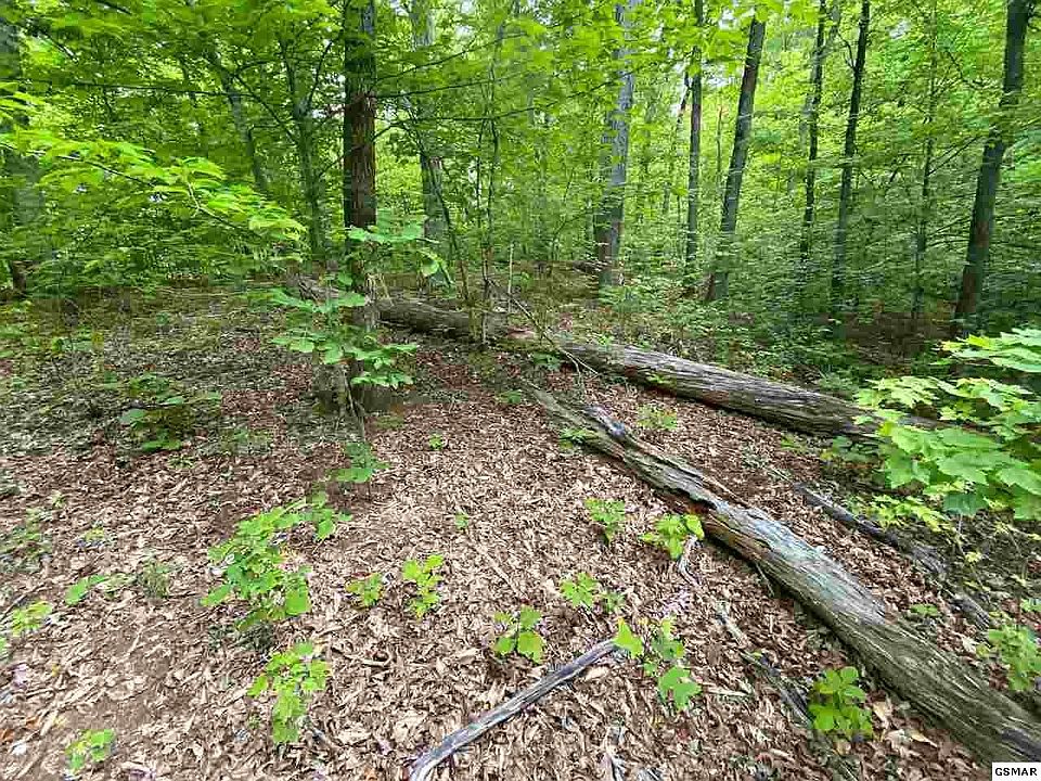 1st image of 786 Center Ridge Ct Lot 786