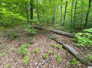 786 Center Ridge Ct LOT 786, White Pine, TN 37890