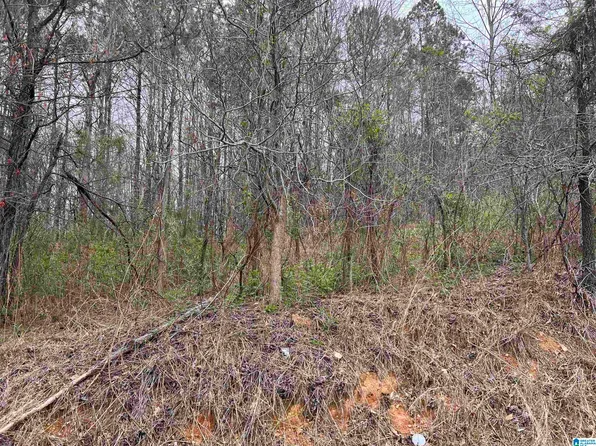 LOT A W Highway 46 SW, Heflin, AL 36264