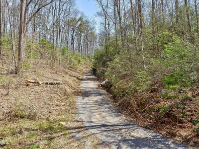Yellow Breeches Rd, Cosby, TN, 37722