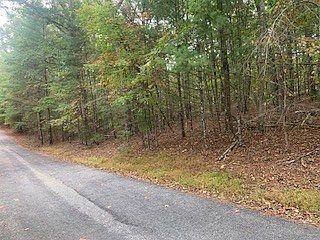 2nd image of 4 Cane Creek Rdg