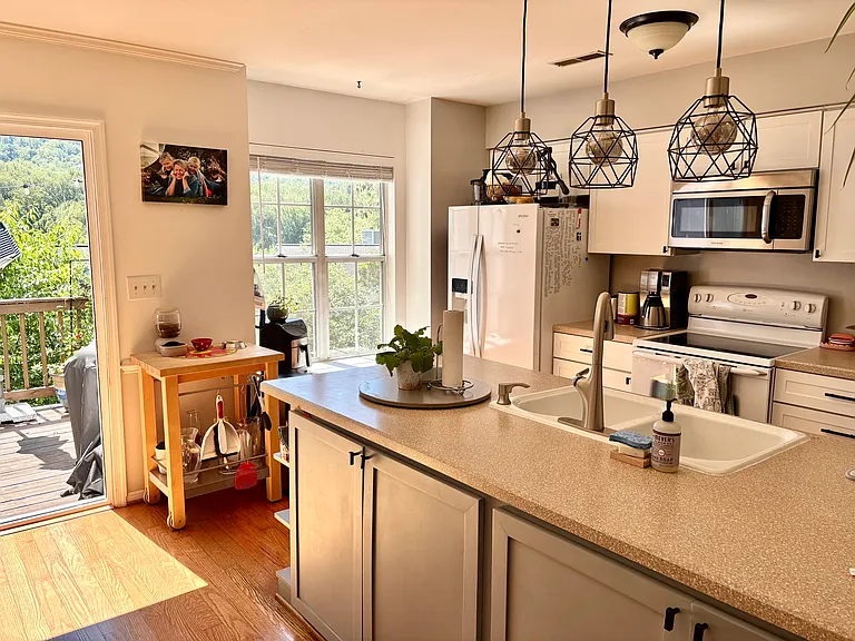 1253 Maple View Dr — Photo 3