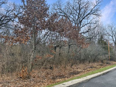 12346 W Sallmon Ave, Beach Park, IL, 60087