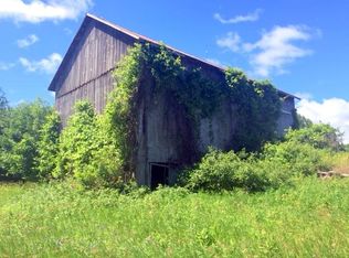 1614 Pioneer 44.62 Acres, Cheboygan, MI 49721